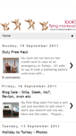 Mobile Screenshot of look-flyingmonkeys.blogspot.com