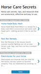 Mobile Screenshot of horsecaresecrets.blogspot.com