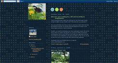 Desktop Screenshot of earthshop.blogspot.com