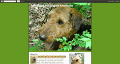 Desktop Screenshot of ezzyridersadventures.blogspot.com