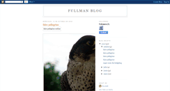 Desktop Screenshot of fullmannireede.blogspot.com