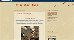 Desktop Screenshot of daisymaedogs.blogspot.com