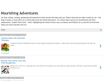 Tablet Screenshot of nourishingadventures.blogspot.com