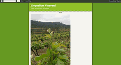 Desktop Screenshot of cloquallumvineyard.blogspot.com