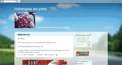 Desktop Screenshot of hydrangeasarepretty.blogspot.com