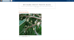 Desktop Screenshot of myrarefruitphotos.blogspot.com