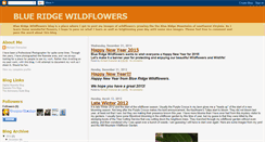 Desktop Screenshot of blueridgewildflowers.blogspot.com