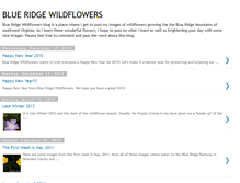 Tablet Screenshot of blueridgewildflowers.blogspot.com