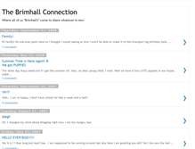 Tablet Screenshot of brimhall-connection.blogspot.com