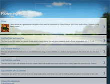 Tablet Screenshot of flowering-plants-garden.blogspot.com