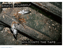 Tablet Screenshot of holdontothetaps.blogspot.com