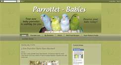 Desktop Screenshot of parrotletbabies.blogspot.com