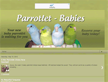 Tablet Screenshot of parrotletbabies.blogspot.com