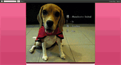 Desktop Screenshot of minomybeagle.blogspot.com