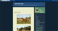 Desktop Screenshot of akhal-teke.blogspot.com