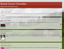 Tablet Screenshot of breastcancerchronicles.blogspot.com