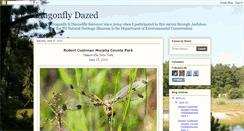 Desktop Screenshot of dragonflydazed.blogspot.com