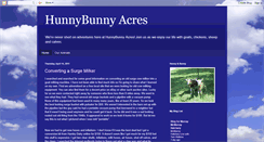 Desktop Screenshot of hunnybunnyacres.blogspot.com