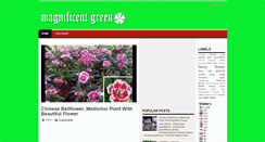 Desktop Screenshot of magnificentgreen.blogspot.com