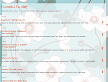 Tablet Screenshot of essentialfertility.blogspot.com