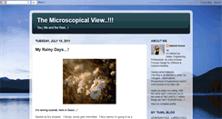 Desktop Screenshot of microscopicalview.blogspot.com
