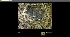 Desktop Screenshot of fleetwoodbirder.blogspot.com