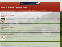 Tablet Screenshot of breedtropicalfish.blogspot.com