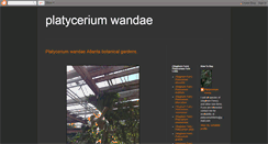 Desktop Screenshot of platyceriumwandae.blogspot.com