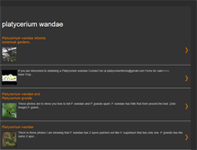 Tablet Screenshot of platyceriumwandae.blogspot.com