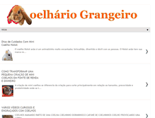 Tablet Screenshot of coelhariograngeiro.blogspot.com