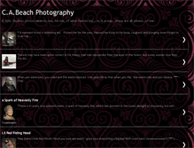 Tablet Screenshot of cabeachphotos.blogspot.com