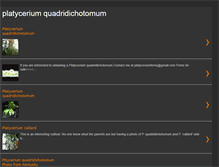 Tablet Screenshot of platyceriumquadridichotomum.blogspot.com