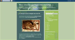 Desktop Screenshot of noschiensetchats.blogspot.com