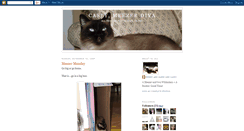 Desktop Screenshot of caseymeezerdiva.blogspot.com