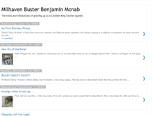 Tablet Screenshot of busterbenjamin.blogspot.com