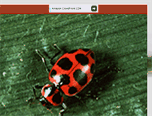 Tablet Screenshot of ladybugsdoodles.blogspot.com