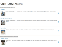 Tablet Screenshot of caseyangora.blogspot.com