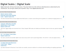 Tablet Screenshot of digitalscaleworks.blogspot.com