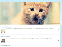 Tablet Screenshot of cat-breed.blogspot.com