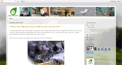 Desktop Screenshot of indiasendangered.blogspot.com