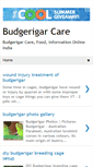 Mobile Screenshot of budgerigarcare.blogspot.com