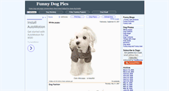 Desktop Screenshot of funny-dog.blogspot.com