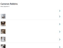 Tablet Screenshot of cameron-robbins-depot-installation.blogspot.com