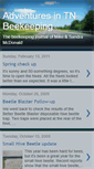 Mobile Screenshot of beeadventure.blogspot.com
