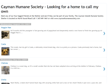 Tablet Screenshot of caymanhumanesociety.blogspot.com