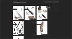 Desktop Screenshot of plumasymas.blogspot.com