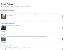 Tablet Screenshot of brianpuppy.blogspot.com