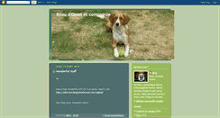 Desktop Screenshot of biloudomet.blogspot.com
