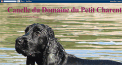 Desktop Screenshot of canelledudomainedupetitcharentais.blogspot.com