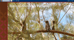 Desktop Screenshot of birdman88-birdsofshoshonewetlands.blogspot.com